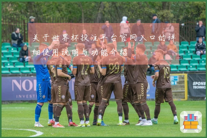 关于世界杯投注平台官网入口的详细使用说明与功能介绍