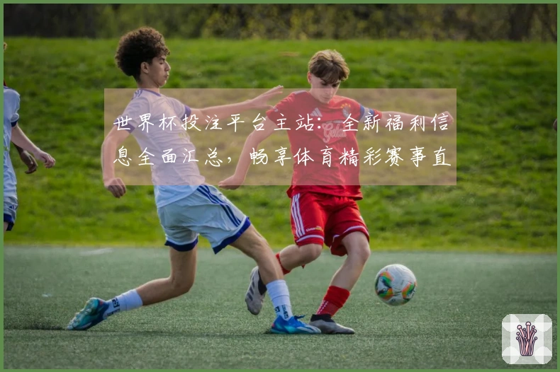 世界杯投注平台主站:全新福利信息全面汇总,畅享体育精彩赛事直播与便捷功能体验