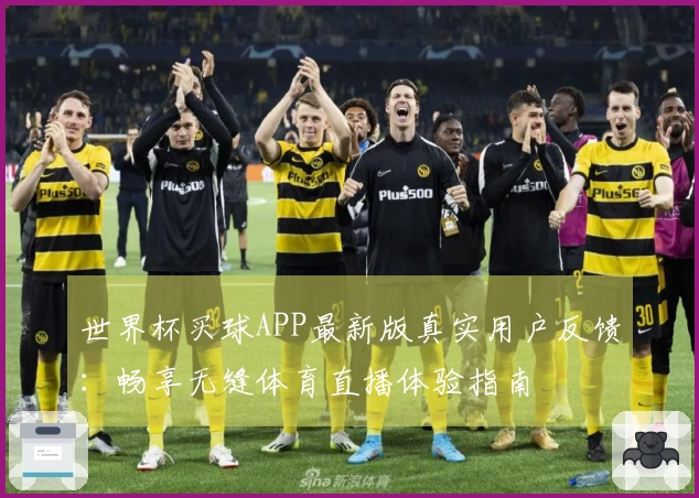 世界杯买球APP最新版真实用户反馈：畅享无缝体育直播体验指南