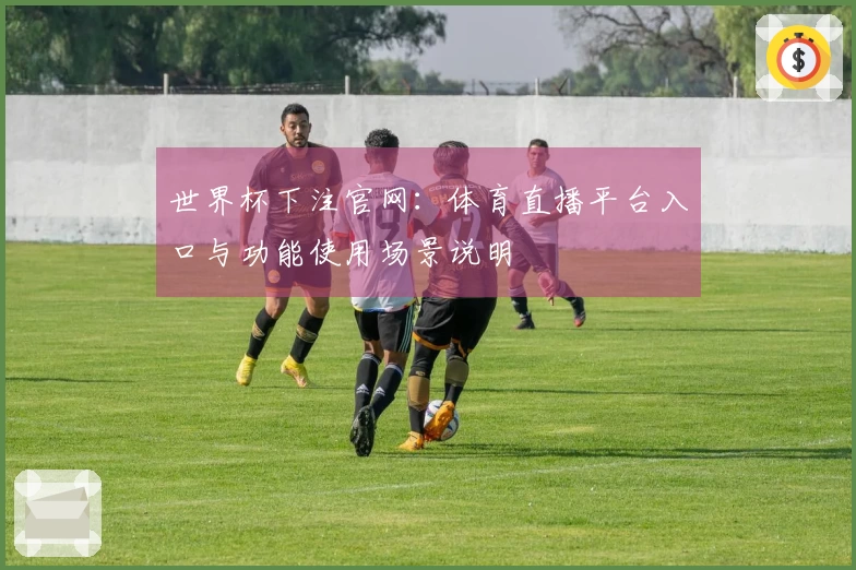 世界杯下注官网：体育直播平台入口与功能使用场景说明