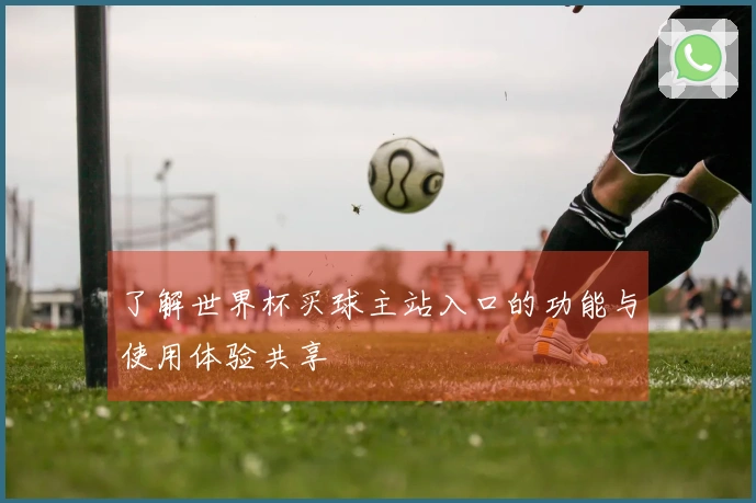了解世界杯买球主站入口的功能与使用体验共享