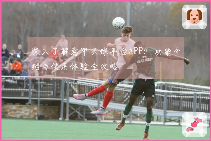 深入了解意甲买球平台APP：功能介绍与使用体验全攻略