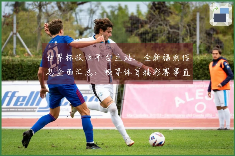 世界杯投注平台主站：全新福利信息全面汇总，畅享体育精彩赛事直播与便捷功能体验