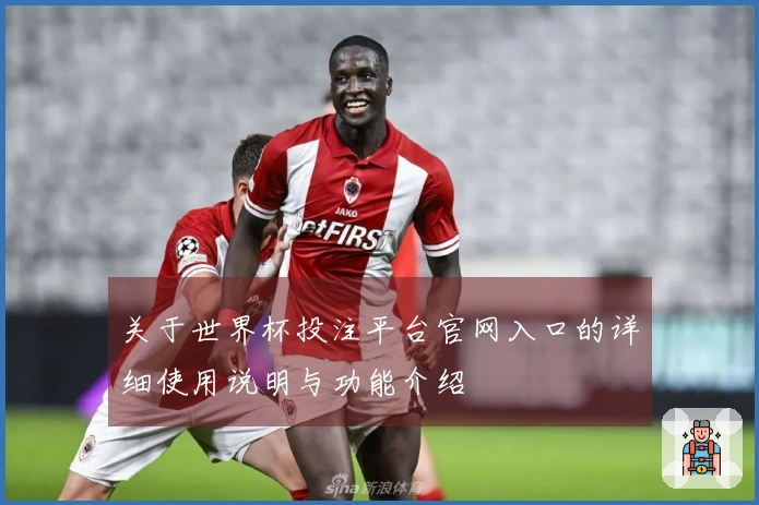 关于世界杯投注平台官网入口的详细使用说明与功能介绍