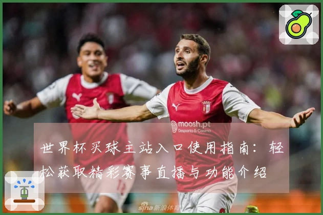 世界杯买球主站入口使用指南：轻松获取精彩赛事直播与功能介绍