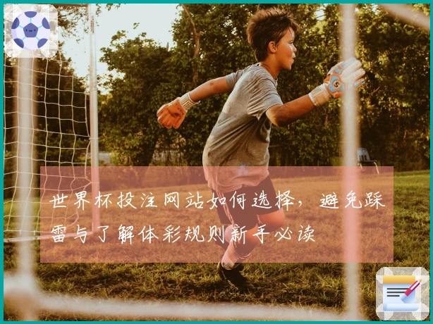 世界杯投注网站如何选择，避免踩雷与了解体彩规则新手必读